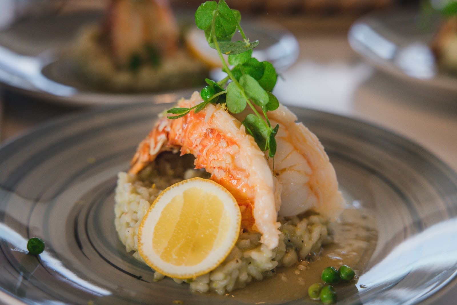 Lobster risotto plated with pea shoots and a lemon wheel